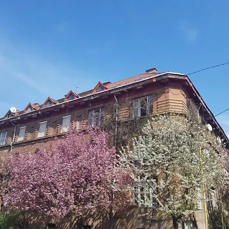 Простора квартира в історичному центрі